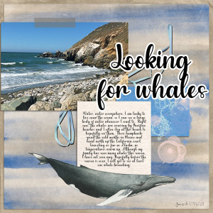 Photography_lookingforwhales