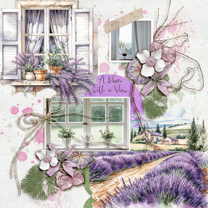 FF_july21_AWA_SwL_A Room With A View