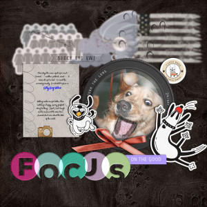 Focus