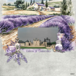 Chateau de Chamerolles