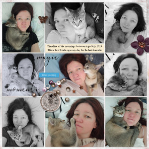 2304-07 Morning Cat