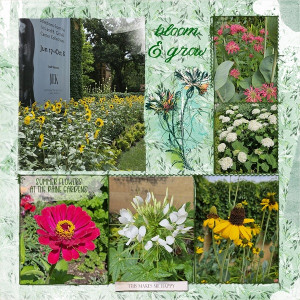 Bloom & Grow