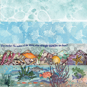 July AJ Muse Wk2 - Rock Pools