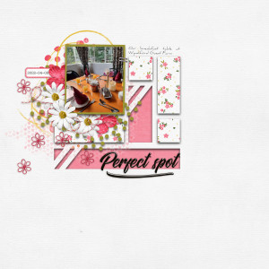2022-04-09_PerfectSpot