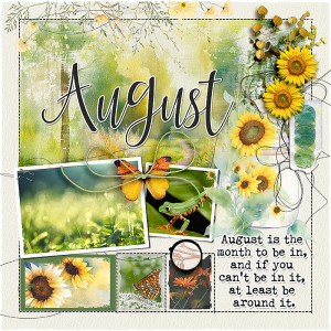FF_july28_NBK_August