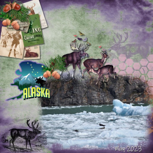 2023-07-SummerBucketList-Week4