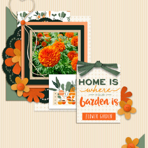 Home Garden