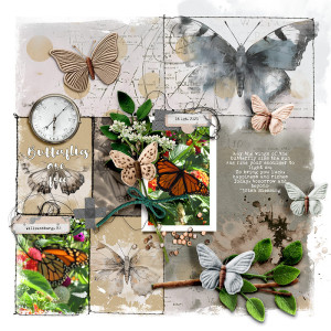 Butterflies are Free