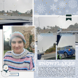 2023-07-10_Snowflakes