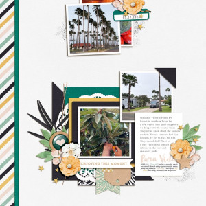 PuraVida