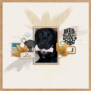 Life is Better with a Dog