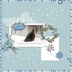 Winter-wonderland