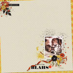 A-case-of-the-blahs