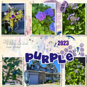 2023-08-TLP-Photography-Challenge