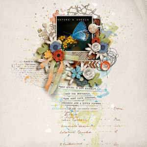 SOSN_aug9_AWA_FDD_Nature's Angels
