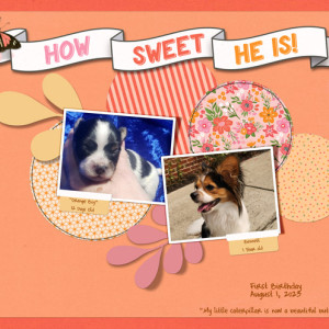 How-Sweet-He-Is