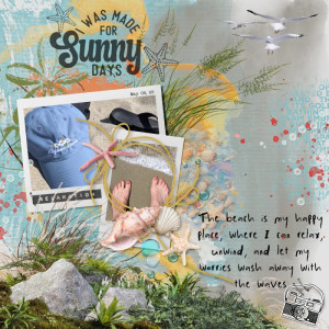I-WAS-MADE-FOR-SUNNY-DAYS