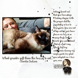 The love of a cat