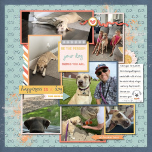 August 2023 MIS Template Challenge
