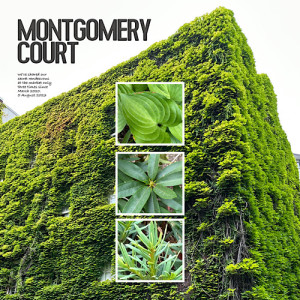 Montgomery Court