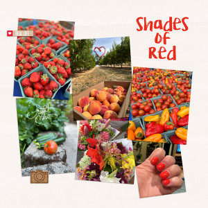 Shades of red