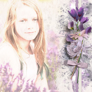 Lavender Dreaming