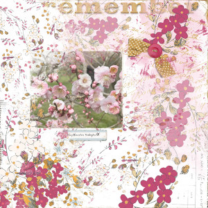 Lgrieveson_lucille_cherryblossoms
