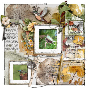 Hummingbirds