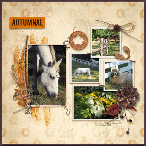 Autumnal (b)