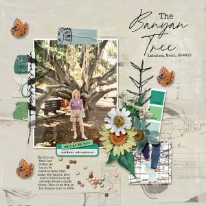 Banyan Tree