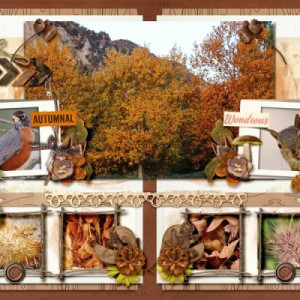 Woodland Walks (Left and Right)