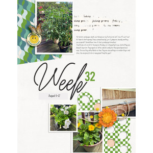 Week-32L