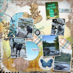 2023-08-TLP-Template-Challenge