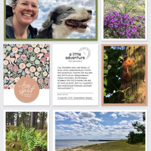 Week 32b 2023