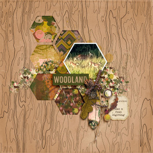 Woodland