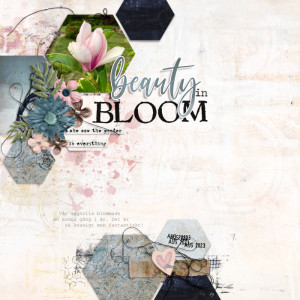 Beauty in Bloom