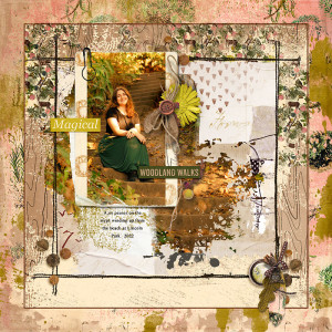 2022 Woodland Walks _incoln Park