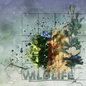 Wildlife