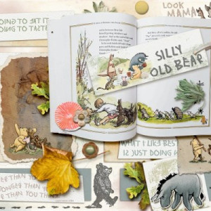 Silly Old Bear