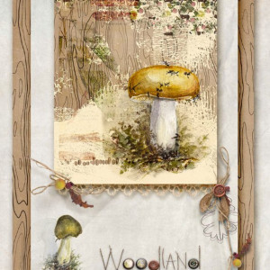 Mushrooms