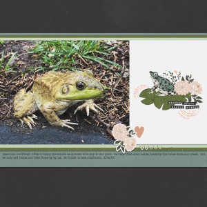 AmericanBullfrog