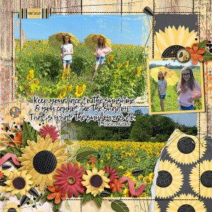 Sunflowers