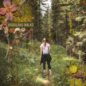 A Walk In The Woods