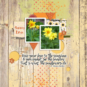 2021-01 Dahlia