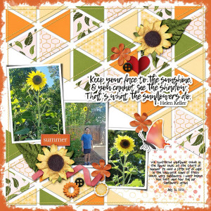 Summer Sunflowers