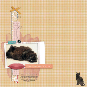 Purr-Fect Life