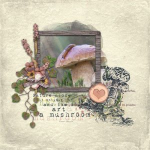 A Mushroom