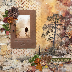 Woodland Walks