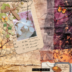 Field-notes