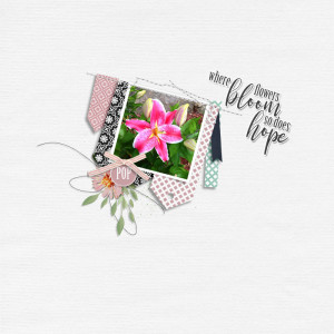 Where Flowers Bloom 2023